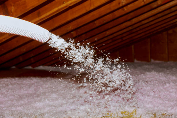 Best Cellulose Insulation  in Hugo, MN