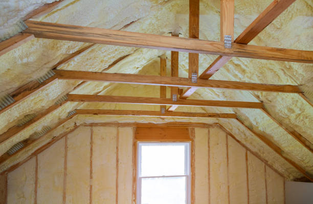 Best Wall Insulation Contractor  in Hugo, MN