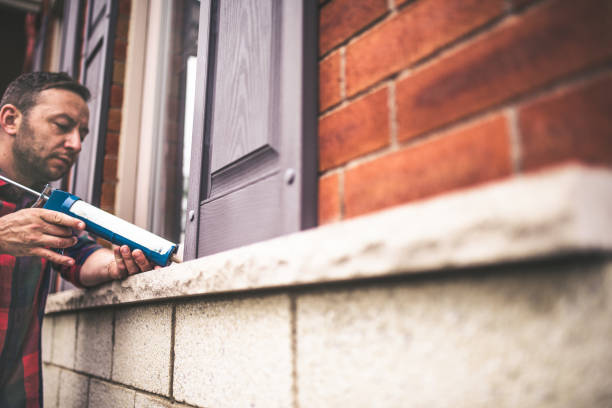 Best Insulation Replacement Services  in Hugo, MN