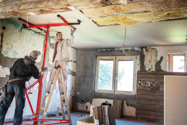 Best Residential Insulation Services  in Hugo, MN