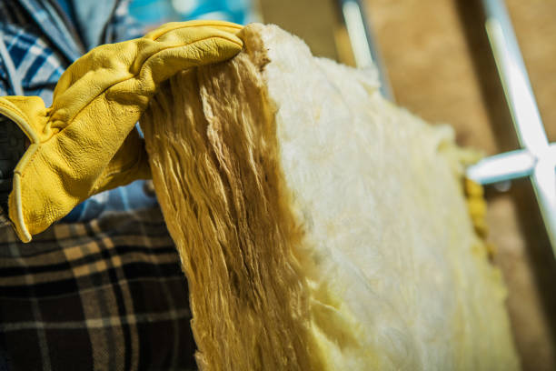 Best Professional Insulation Contractor  in Hugo, MN