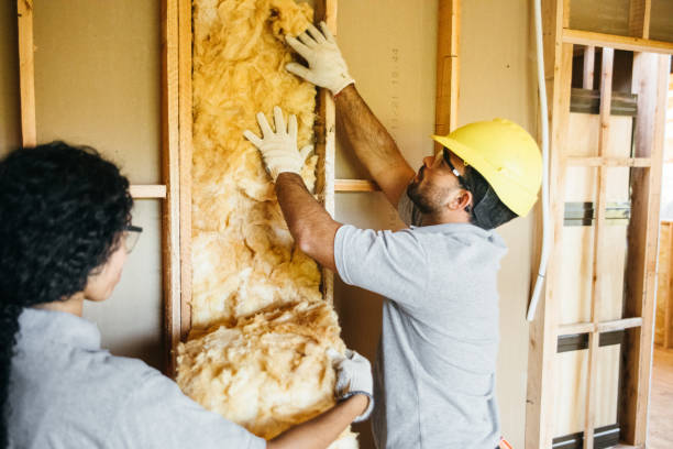 Attic Insulation Near Me in Hugo, MN
