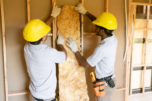 Best Insulation Contractor Near Me  in Hugo, MN