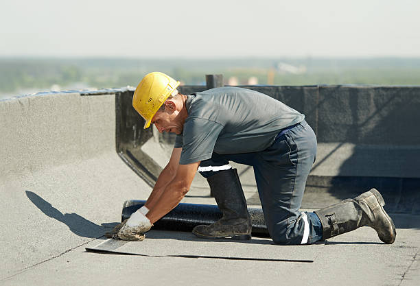 Best Home Insulation Services  in Hugo, MN
