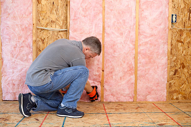 Best Attic Insulation Installation  in Hugo, MN