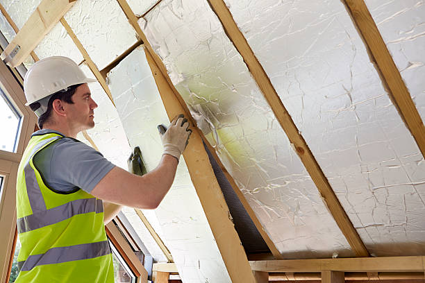Best Fiberglass Insulation  in Hugo, MN