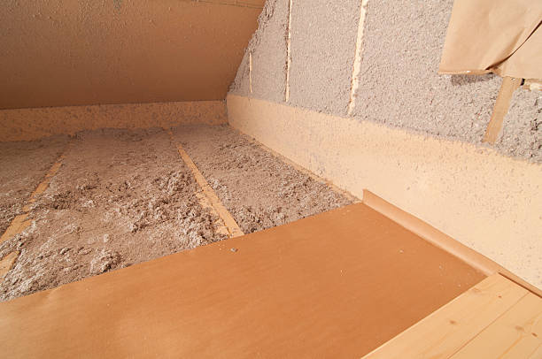 Best Insulation for New Construction  in Hugo, MN